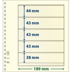 Lindner 802512P Hojas T-Blanko Creaciones Personales Altura: 38,43,43,43,44 mm. pqte 10 Lindner 802512P Hojas T-Blanko Creaciones Personales Altura: 38,43,43,43,44 mm. pqte 10