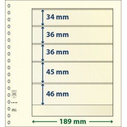 Lindner 802508P Hojas T-Blanko Creaciones Personales Altura: 46,45,36,36,34 mm. pqte 10 Lindner 802508P Hojas T-Blanko Creaciones Personales Altura: 46,45,36,36,34 mm. pqte 10