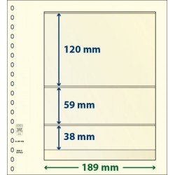 Lindner 802306P Hojas T-Blanko Creaciones Personales Altura: 38,59,120 mm. pqte 10 Lindner 802306P Hojas T-Blanko Creaciones Personales Altura: 38,59,120 mm. pqte 10