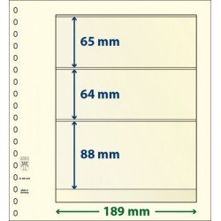Lindner 802304P Hojas T-Blanko Creaciones Personales Altura: 88,64,65 mm. pqte 10 Lindner 802304P Hojas T-Blanko Creaciones Personales Altura: 88,64,65 mm. pqte 10