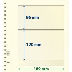 Lindner 802211P Hojas T-Blanko Creaciones Personales Altura: 120,96 mm. pqte 10 Lindner 802211P Hojas T-Blanko Creaciones Personales Altura: 120,96 mm. pqte 10
