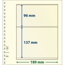 Lindner 802209P Hojas T-Blanko Creaciones Personales Altura: 137,96 mm. pqte 10 Lindner 802209P Hojas T-Blanko Creaciones Personales Altura: 137,96 mm. pqte 10
