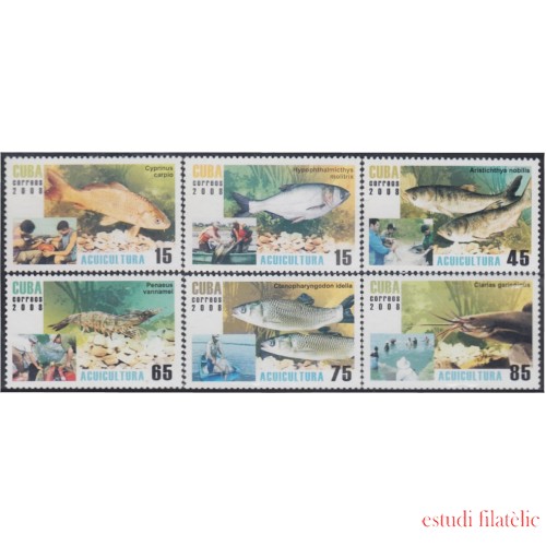 Cuba 4560/65 2008 Acuicultura Peces Fishes MNH