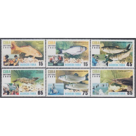 Cuba 4560/65 2008 Acuicultura Peces Fishes MNH Cuba 4560/65 2008 Acuicultura Peces Fishes MNH