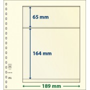 Lindner 802203P Hojas T-Blanko Creaciones Personales Altura: 164,65 mm. pqte 10