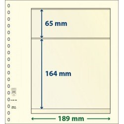 Lindner 802203P Hojas T-Blanko Creaciones Personales Altura: 164,65 mm. pqte 10 Lindner 802203P Hojas T-Blanko Creaciones Personales Altura: 164,65 mm. pqte 10