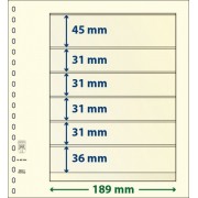 Lindner 802604P Hojas T-Blanko Creaciones Personales Altura: 36,31,31,31,31,45 mm. pqte 10