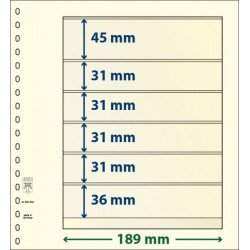 Lindner 802604P Hojas T-Blanko Creaciones Personales Altura: 36,31,31,31,31,45 mm. pqte 10 Lindner 802604P Hojas T-Blanko Creaciones Personales Altura: 36,31,31,31,31,45 mm. pqte 10
