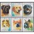 Cuba 4624/29 2008 Fauna Perros MNH