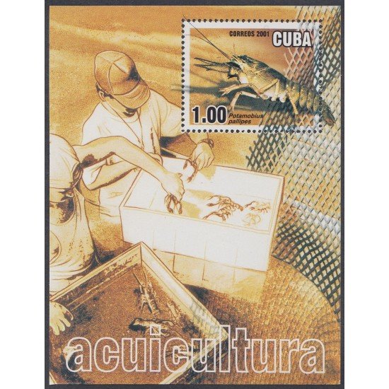 Cuba HB 168 2001 Aquacultura MNH Cuba HB 168 2001 Aquacultura MNH