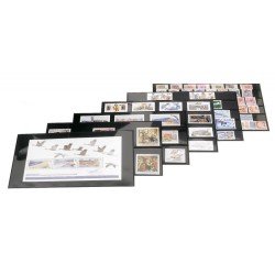 Lindner 774 Fichas clasificadoras 210 x 143 mm Altura del bolsillo: 30 mm pqte 10
