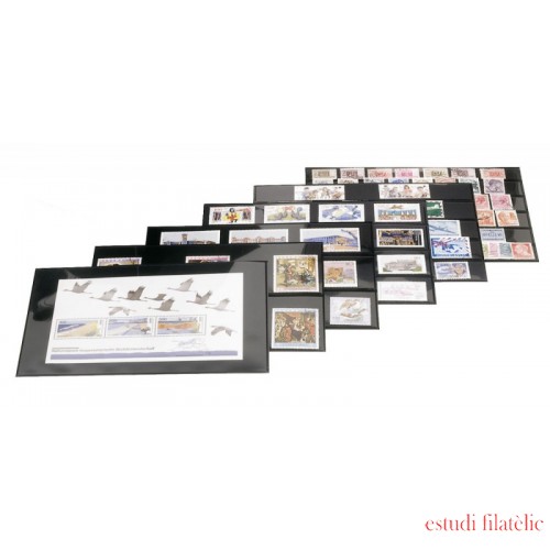 Lindner 776 Fichas clasificadoras 210 x 143 mm Altura del bolsillo: 19 mm pqte 100 Lindner 776 Fichas clasificadoras 210 x 143 mm Altura del bolsillo: 19 mm pqte 100