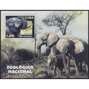 Cuba HB 242 2008 Zoo Nacional Elefantes MNH