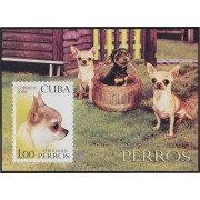 Cuba HB 245 2008 Fauna Perros Dogs MNH