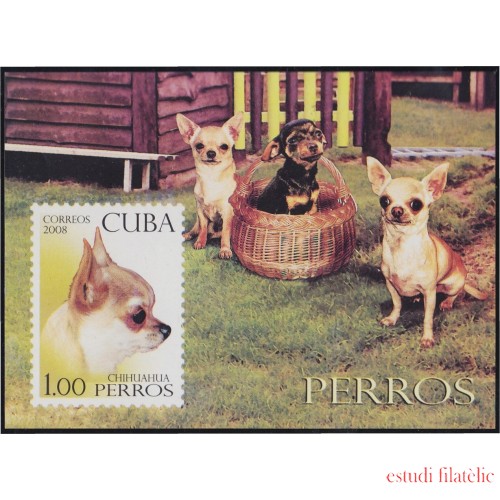 Cuba HB 245 2008 Fauna Perros Dogs MNH