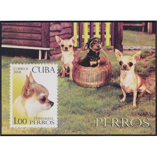 Cuba HB 245 2008 Fauna Perros Dogs MNH Cuba HB 245 2008 Fauna Perros Dogs MNH