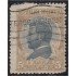 Argentina 240 1918 Dr Juan Pujol usado