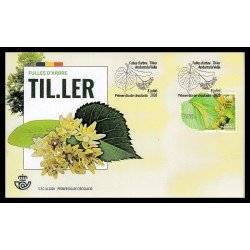 Andorra Española 500 2020 Hoja de árbol Tiller SPD Sobre Primer día Andorra Española 500 2020 Hoja de árbol Tiller SPD Sobre Primer día