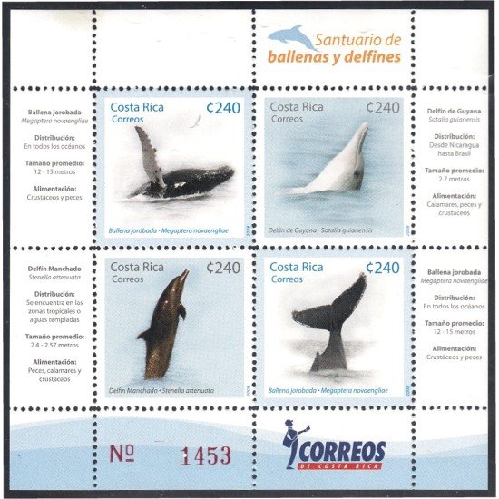Costa Rica 863/66 2008 Santuario de las Ballenas y los Delfines MNH
