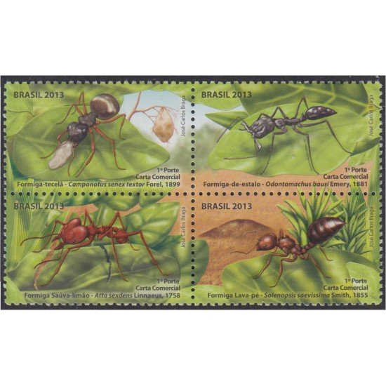 Brasil Brazil 3283/86 2013 Fauna Insectos Hormigas  MNH