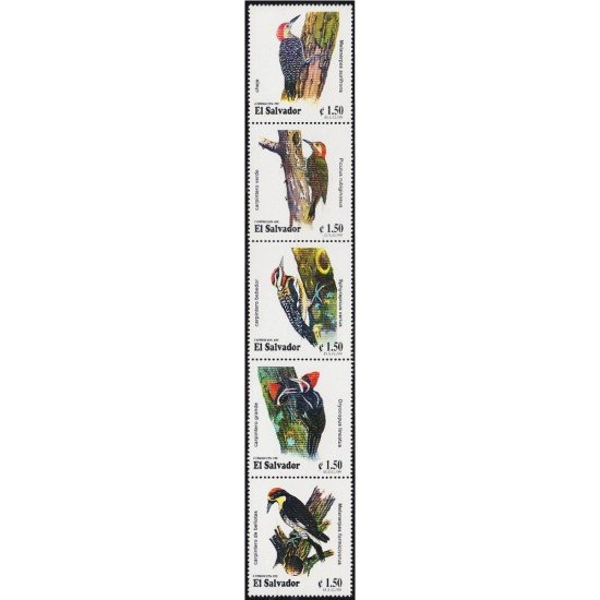 El Salvador 1436/40 2000 Fauna. Pájaros MNH