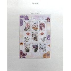 Colección Collection Flora 2004 - 2005 y 2008 Colección Collection Flora 2004 - 2005 y 2008