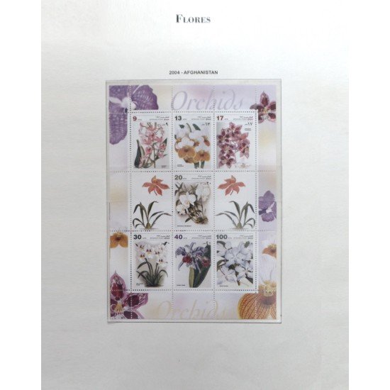Colección Collection Flora 2004 - 2005 y 2008 Colección Collection Flora 2004 - 2005 y 2008