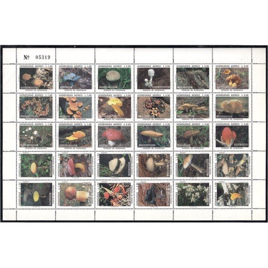 Honduras A- 859A/AG 1995 Flora Setas MNH Honduras A- 859A/AG 1995 Flora Setas MNH