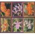Nicaragua 2624/2629 2005 Orquídeas de Nicaragua MNH