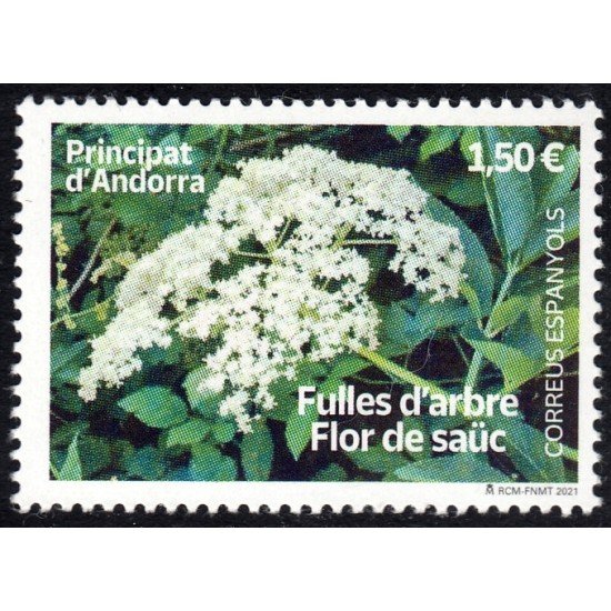 Andorra Española 515 2021 Flor de Saüc MNH Andorra Española 515 2021 Flor de Saüc MNH