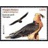 Andorra Española 512 2021 Europa Fauna en peligro Águila MNH