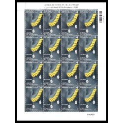 España Spain Minipliego 98e 2021 EUROMED Joyería Artesanal del Mediterráneo España Spain Minipliego 98e 2021 EUROMED Joyería Artesanal del Mediterráneo