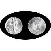 Estados unidos United States Onza de plata Ag 1 $ 2020 Liberty