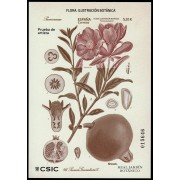 España Spain Prueba de lujo 161 2022 Flora. Ilustración botánica España Spain Prueba de lujo 161 2022 Flora. Ilustración botánica