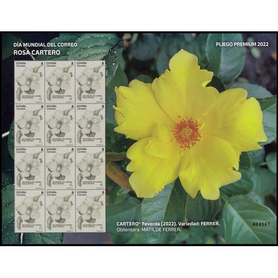 España Pliego Premium 128 2022 Día Mundial del Correo. Rosa cartero Tarifa A MNH España Pliego Premium 128 2022 Día Mundial del Correo. Rosa cartero Tarifa A MNH