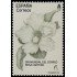 España Spain 5610 2022 Día Mundial del Correo. Rosa cartero MNH Tarifa A