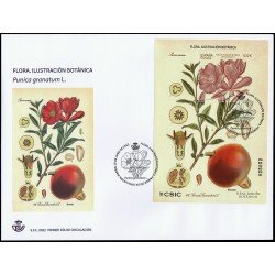 España Spain 5581 2022 Flora Ilustración Botánica SPD Sobre Primer Día