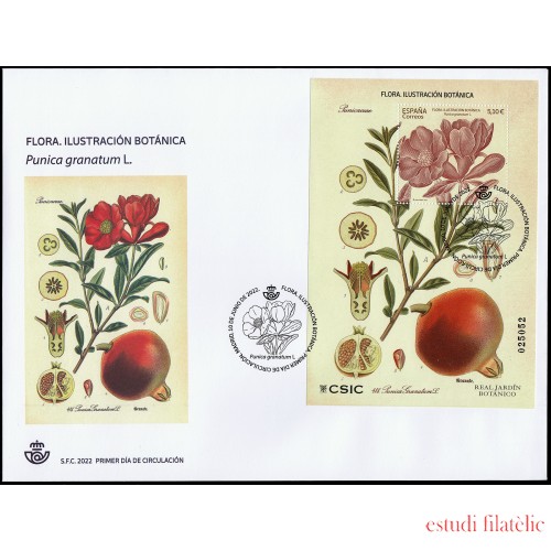 España Spain 5581 2022 Flora Ilustración Botánica SPD Sobre Primer Día