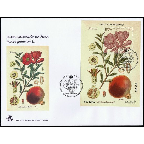 España Spain 5581 2022 Flora Ilustración Botánica SPD Sobre Primer Día España Spain 5581 2022 Flora Ilustración Botánica SPD Sobre Primer Día