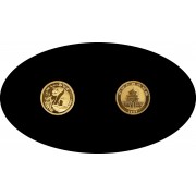 China 5 Yuanes 1993 Panda gold oro Au