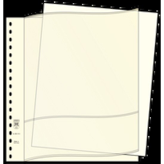 Lindner 802017 Hojas descriptivas, Formato 296 x 231 mm, blanco, 100 piezas Lindner 802017 Hojas descriptivas, Formato 296 x 231 mm, blanco, 100 piezas