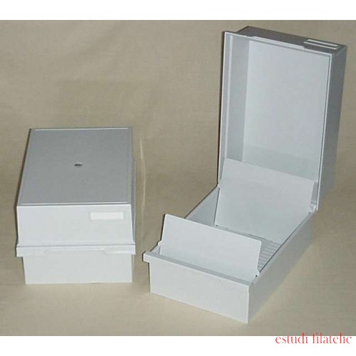 Lindner K-KS1 Fichero de plástico KOBRA para tarjetas clasificadoras en DIN A5 Lindner K-KS1 Fichero de plástico KOBRA para tarjetas clasificadoras en DIN A5