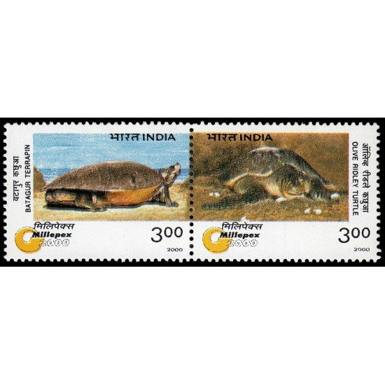 India 1507/08 2000 Animales en peligro de extinción Tortugas MNH India 1507/08 2000 Animales en peligro de extinción Tortugas MNH