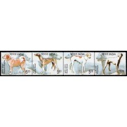 India 1835/38 2005 Fauna Perros MNH India 1835/38 2005 Fauna Perros MNH