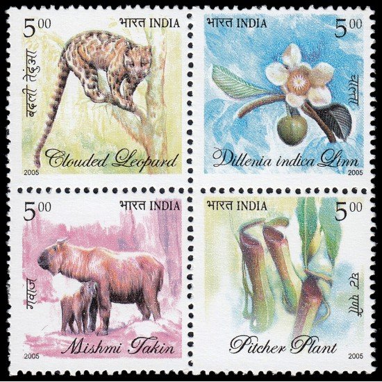 India 1843/46 2005 Flora y Fauna del noreste de la India MNH India 1843/46 2005 Flora y Fauna del noreste de la India MNH