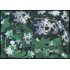 India HB 52 Flores Jazmín MNH
