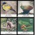 India 2431/34 2012 Fauna endémica India MNH