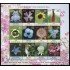 India 2477/88 2013 Flores MNH