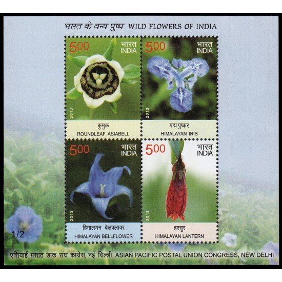 India HB 109 2013 Flores MNH India HB 109 2013 Flores MNH