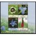India HB 109 2013 Flores MNH
